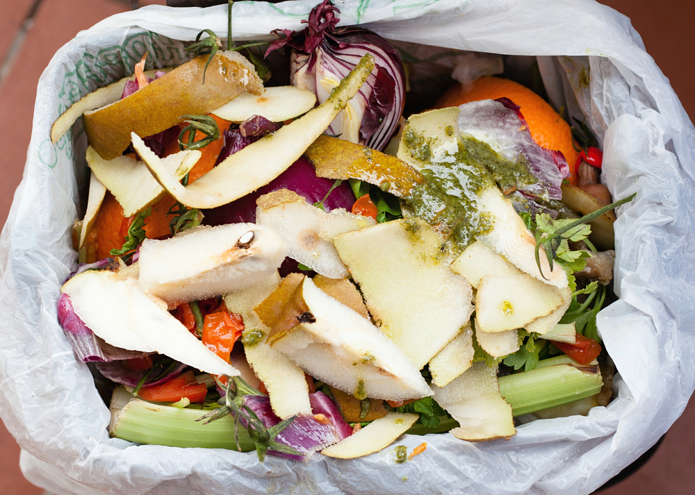 Featured image for “How to Manage Odor and Pests When Renting a Dumpster for Organic Waste”