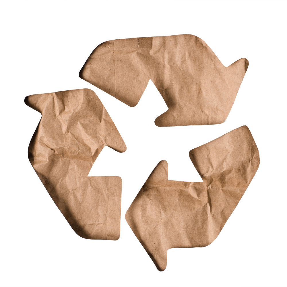 Featured image for “What Are the Environmental Benefits of Proper Waste Disposal with Dumpster Rentals?”