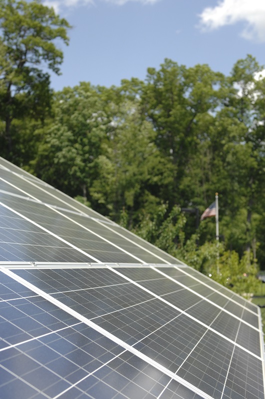 Windsor Sanitation Goes Green! Windsor Sanitation